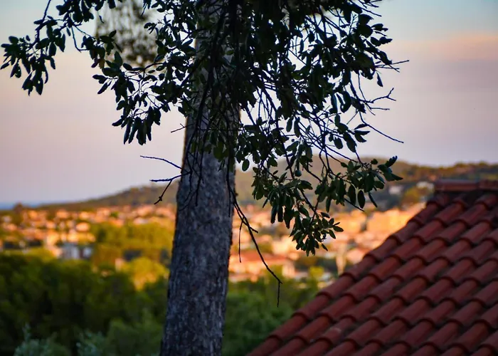 La Solane - Grande Maison Sous Les Pins *